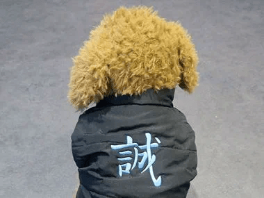 Embroidery petjacket