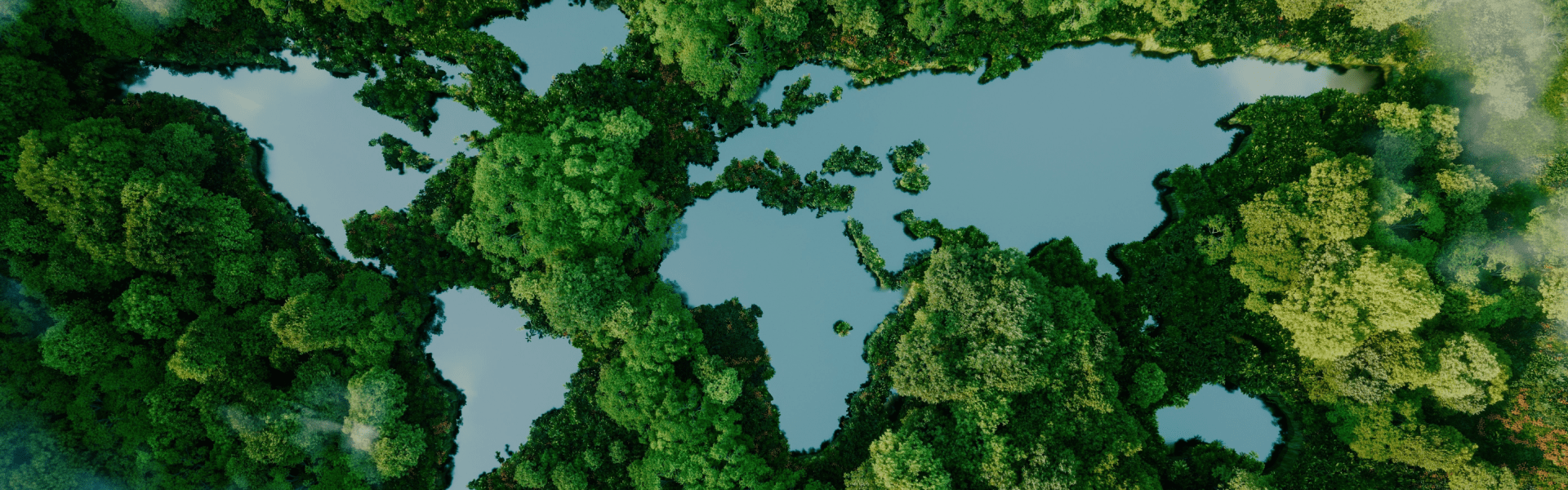 Sustainability