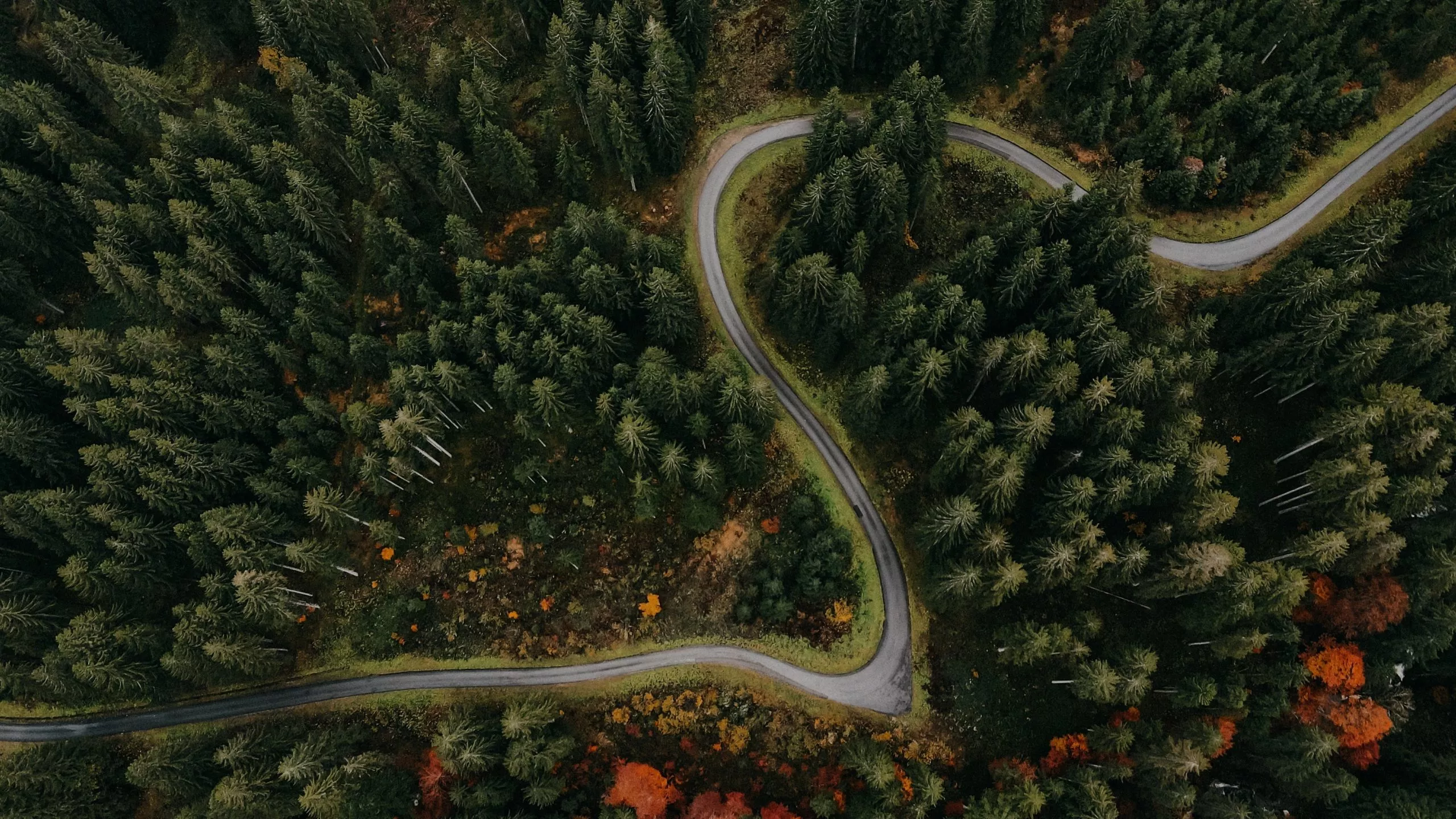 Sứ Mệnh Brother: Cùng Bạn Xây Dựng Tương Lai Bền Vững