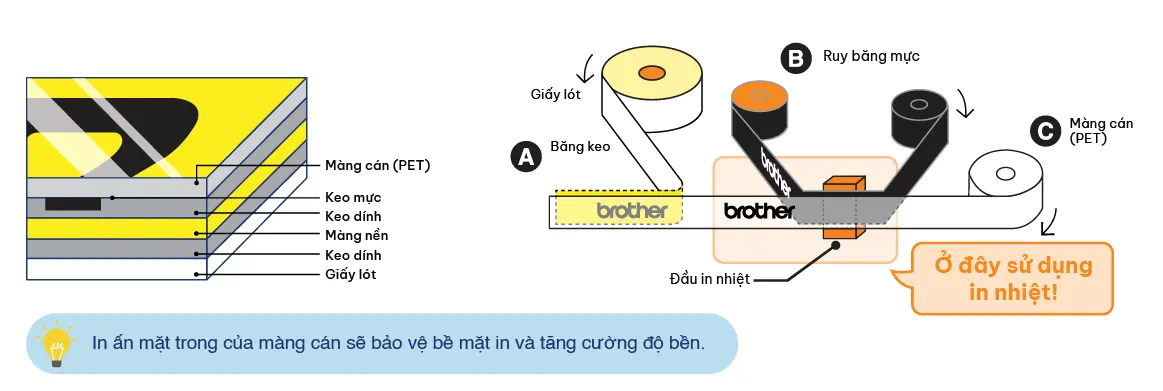 Auto-Lamination Diagram