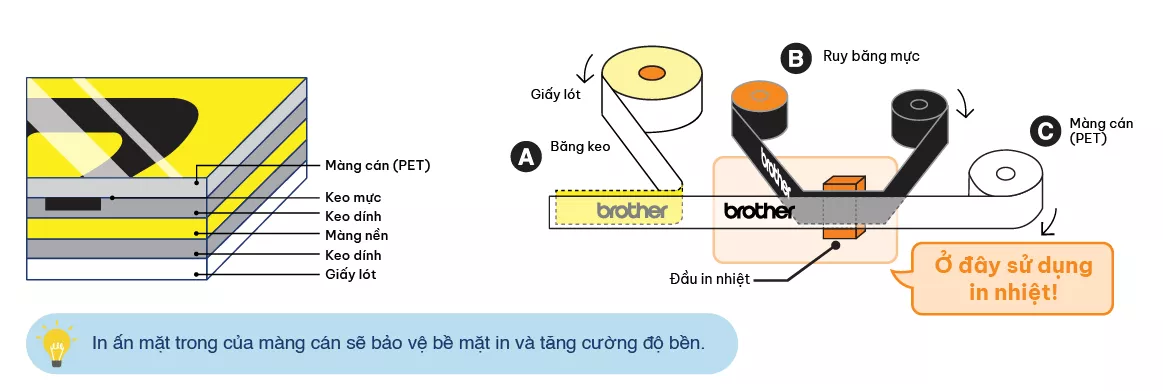 Auto-Lamination Diagram