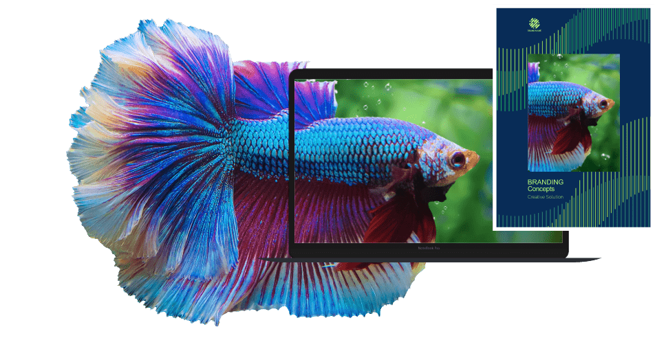 Colours_USP